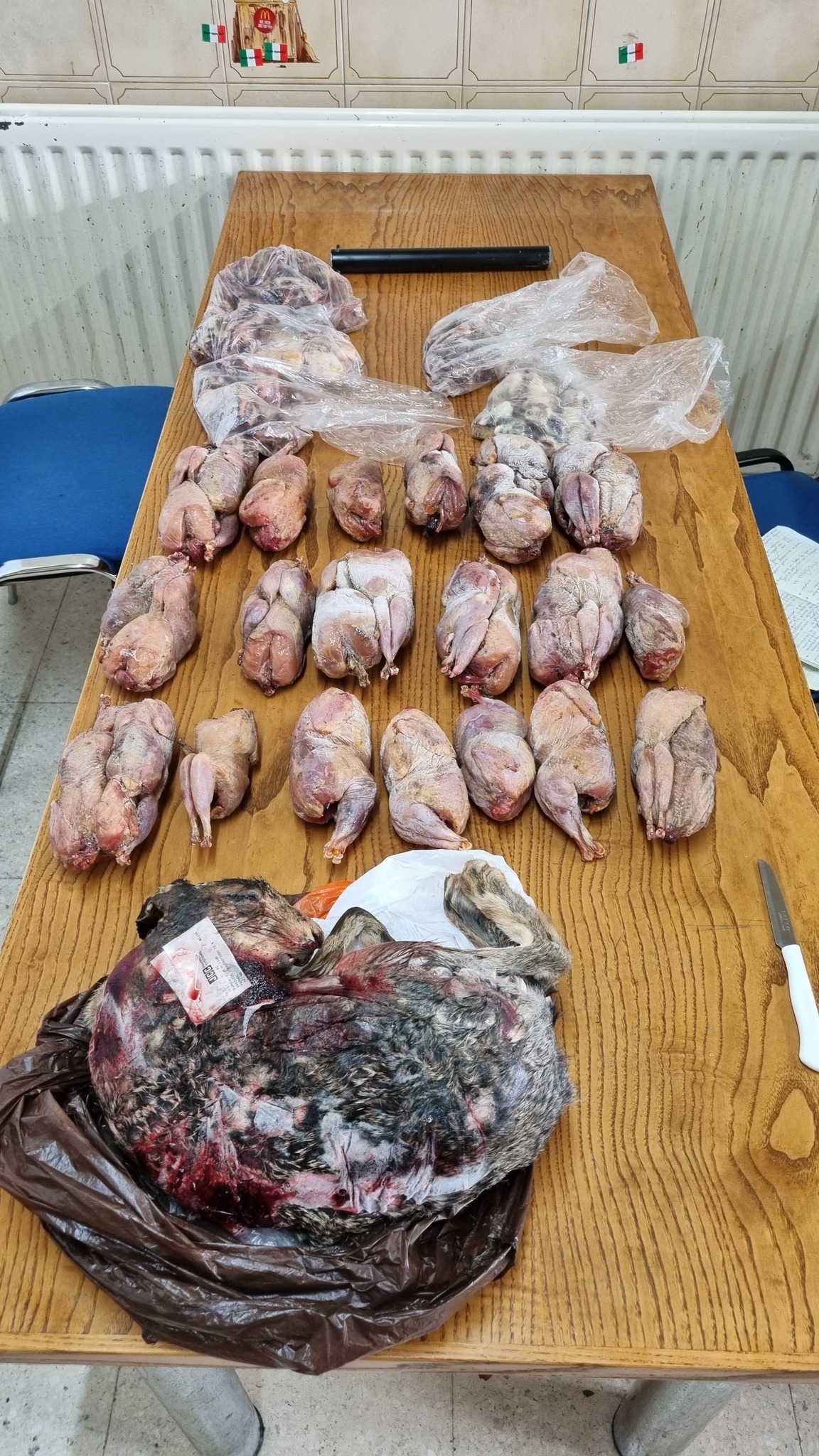 διοικητικό πρόστιμο