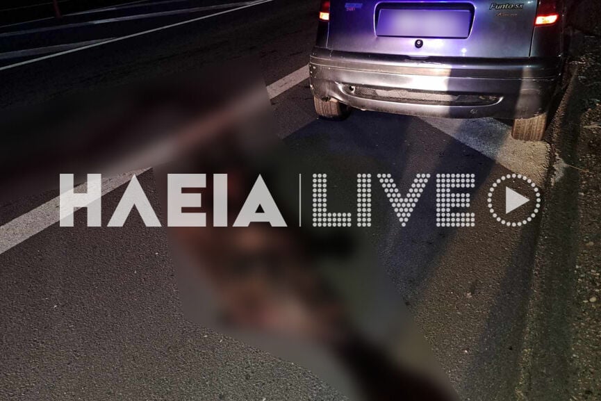 τροχαίο με αγριογούρουνο
