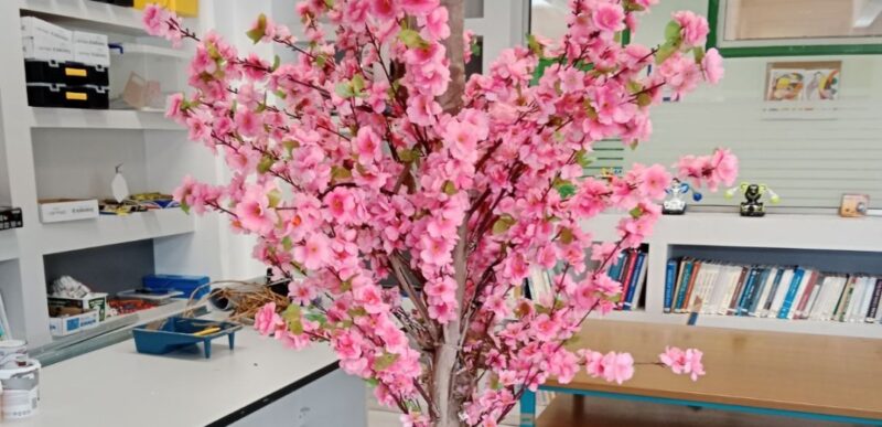 ασπίδα προστασίας απέναντι στις πυρκαγιές