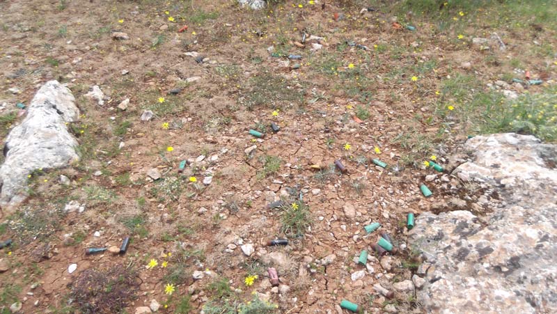 Καθαρίζουμε τα καρτέρια μας