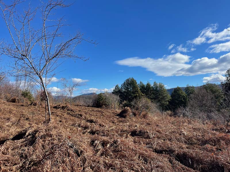 Ο πιο ζεστός Φεβρουάριος