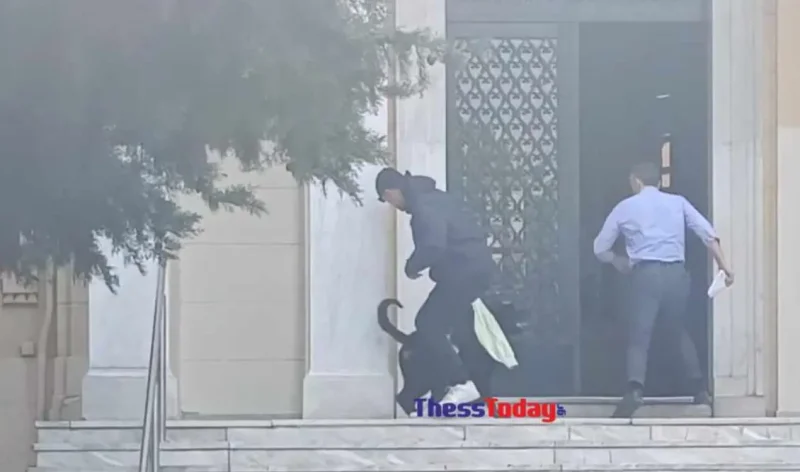 Ροτβάιλερ επιτέθηκε