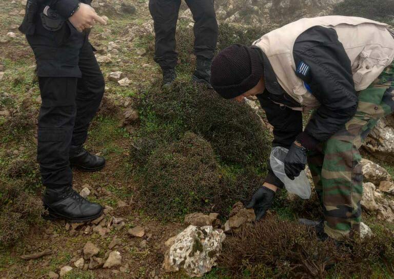 φόλες σε Καταφύγιο Άγριας Ζωής