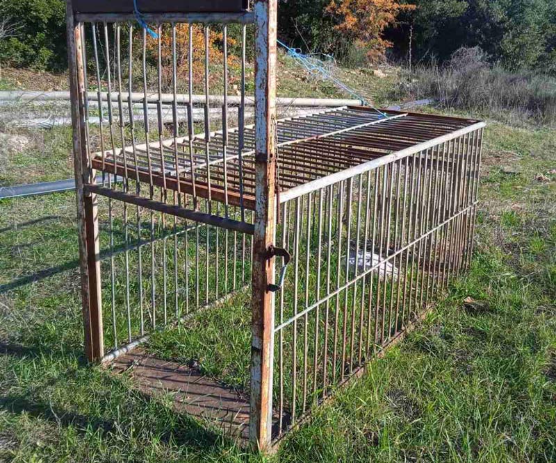 Νέα χτυπήματα κατά της λαθροθηρίας από τη θηροφυλακή της Ζ' ΚΟΘ