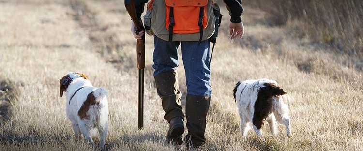 λαθροθήρες