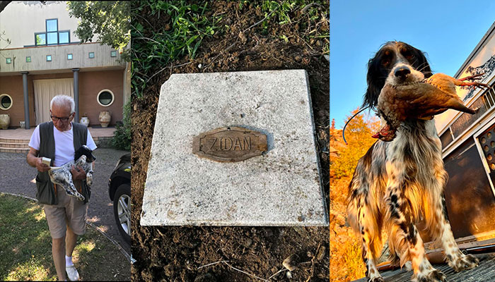 Θανατηφόρα επίθεση λύκων