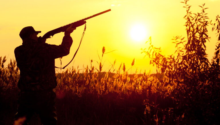 κυνήγι στη Βουλγαρία