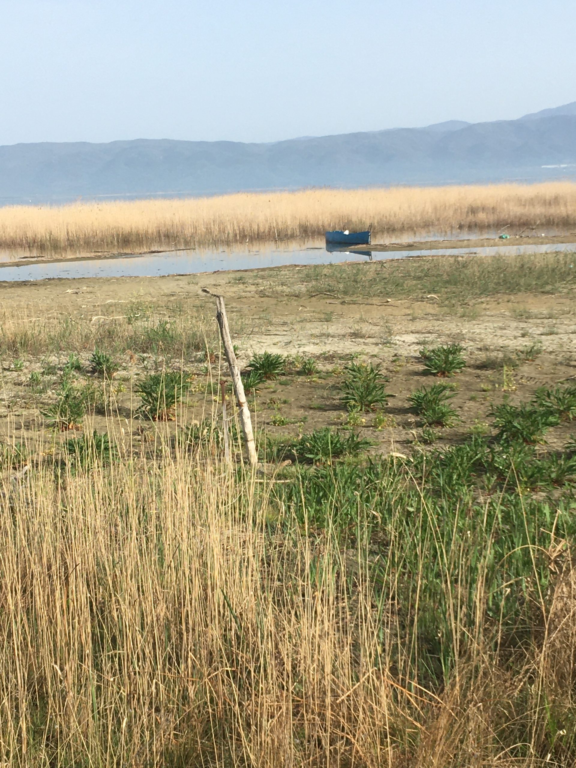 Βόρεια Ελλάδα: Ο ποταμός στέγνωσε, η λίμνη εξαφανίστηκε