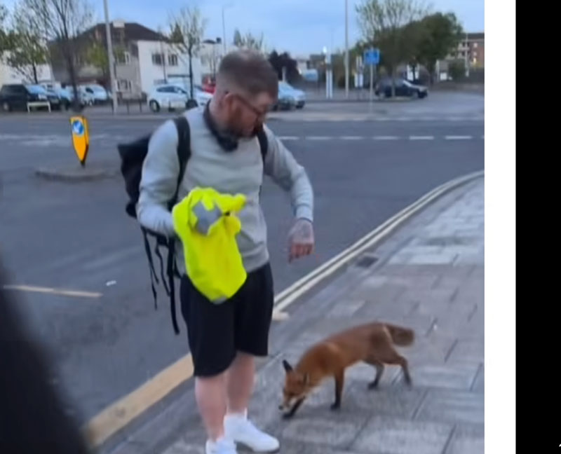 Φιλόζωος μιλάει υπέρ των αλεπούδων και η αλεπού τον δαγκώνει