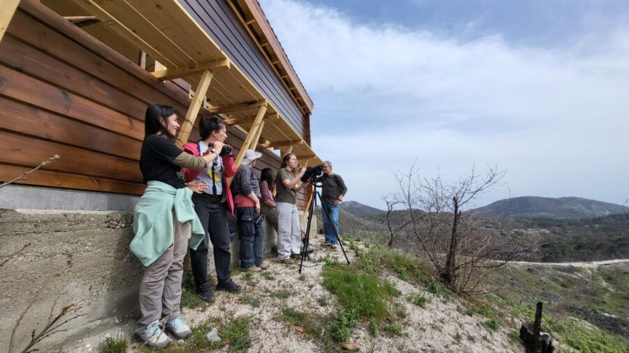 αρπακτικά στη Δαδιά