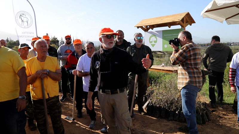 βελανιδοδάσος στους πρόποδες της Πάρνηθας