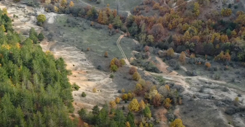 Εντυπωσιακά πλάνα από κυνήγι φάσσας στη Βόρεια Ελλάδα...VIDEO