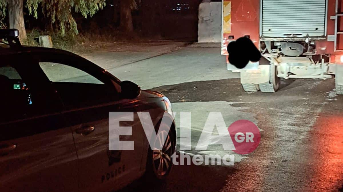 Άγρια κτηνωδία στη Χαλκίδα: Πέταξαν σκύλο σε κάδο σκουπιδιών και τον έκαψαν 