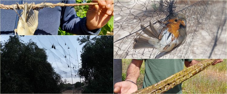 ΚΥΠΡΟΣ : Ενώπιον της Βουλής πρόταση νόμου για ποινές σε ακτιβιστές που κυνηγούν τους... κυνηγούς