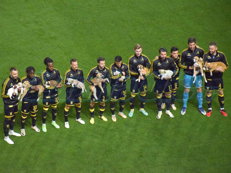 Με σκυλάκια στο γήπεδο