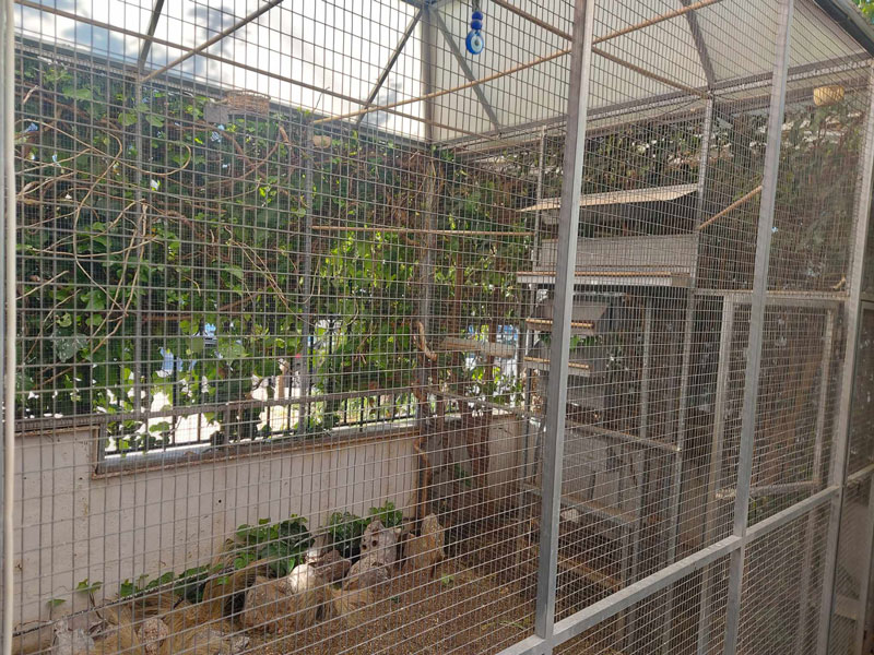 Εφοδος της θηροφυλακής