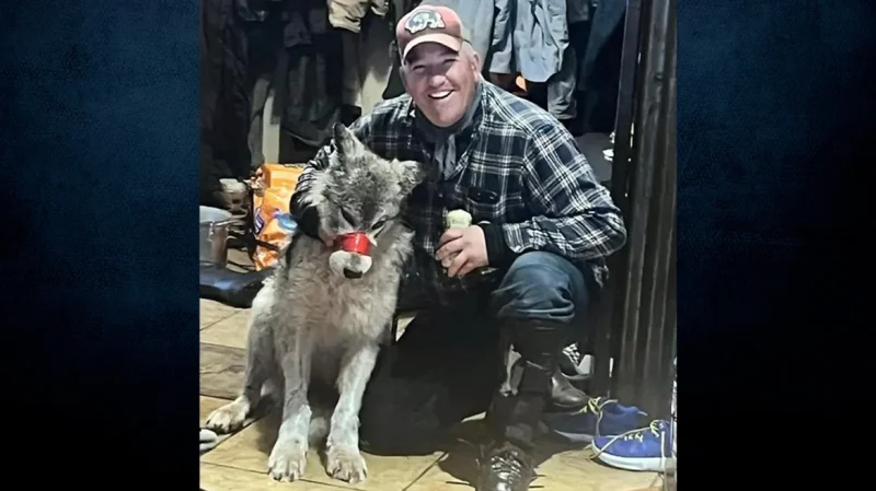 ΗΠΑ - Ουαϊόμινγκ: Βασάνισε τραυματισμένο λύκο πριν τον σκοτώσει...VIDEO