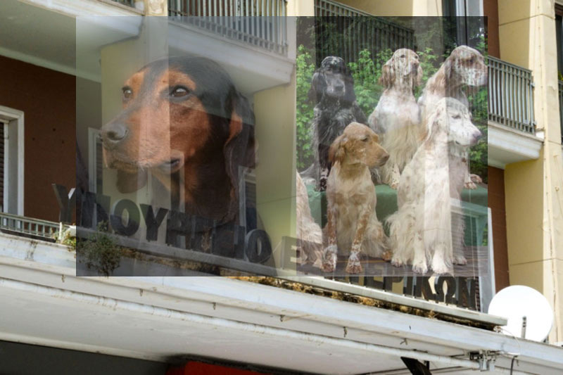 Συνάντηση της Κ.Σ.Ε. με τον αρμόδιο υπουργό για το νόμο "ΑΡΓΟΣ