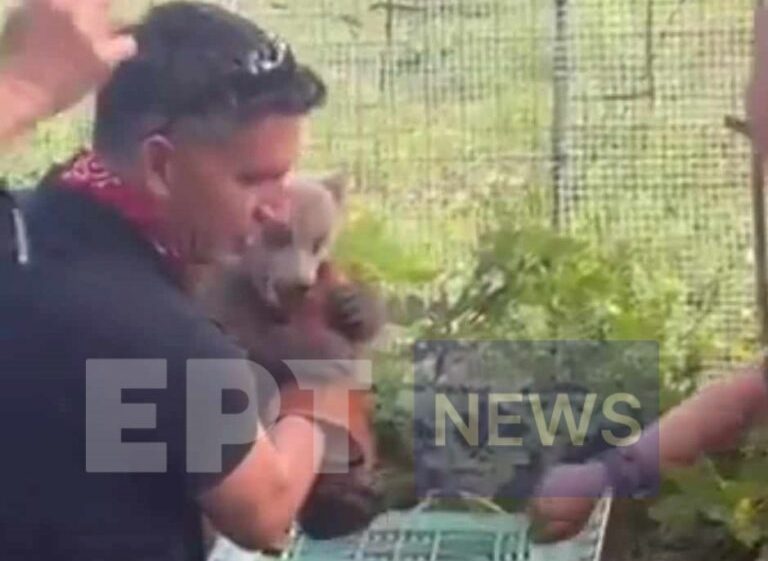 Πτολεμαϊδα: Αρκουδάκι έκανε βόλτες σε αυλή σπιτιού...VIDEO