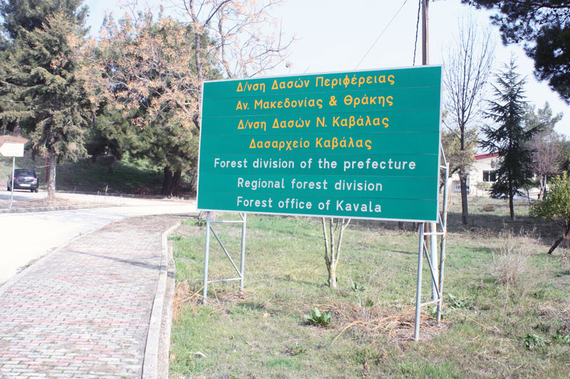 Δασαρχείο Καβάλας : Αύξηση αγριογούρουνων! «Κατεβαίνουν» στα πεδινά, κάνουν ζημιές