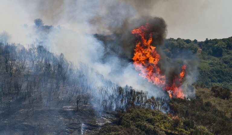 Αχαΐα: Σύλληψη άνδρα για πρόκληση 7 πυρκαγιών από πρόθεση στην Ακράτα