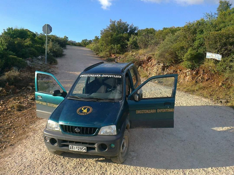 Στο αυτόφωρο για νυχτερινή λαθροθηρία σε περιοχή της Αργολίδας