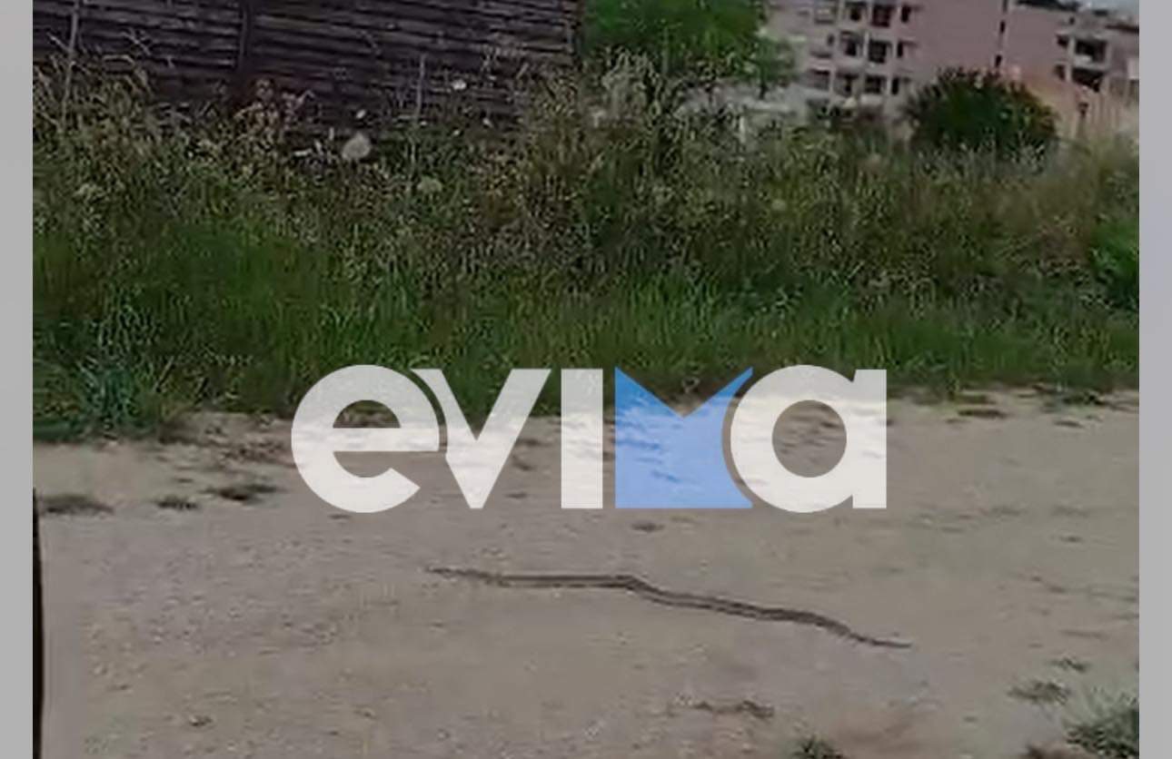 Φίδια «γέμισε» η νότια Εύβοια