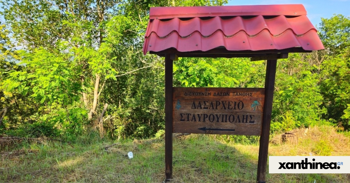 Τα όρνεα επέστρεψαν στα Στενά του Νέστου 