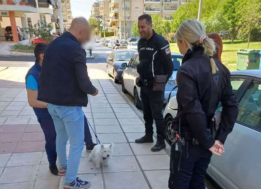 Θεσσαλονίκη : Έλέγχοι ιδιοκτητών ζώων συντροφιάς και επιβολή προστίμων
