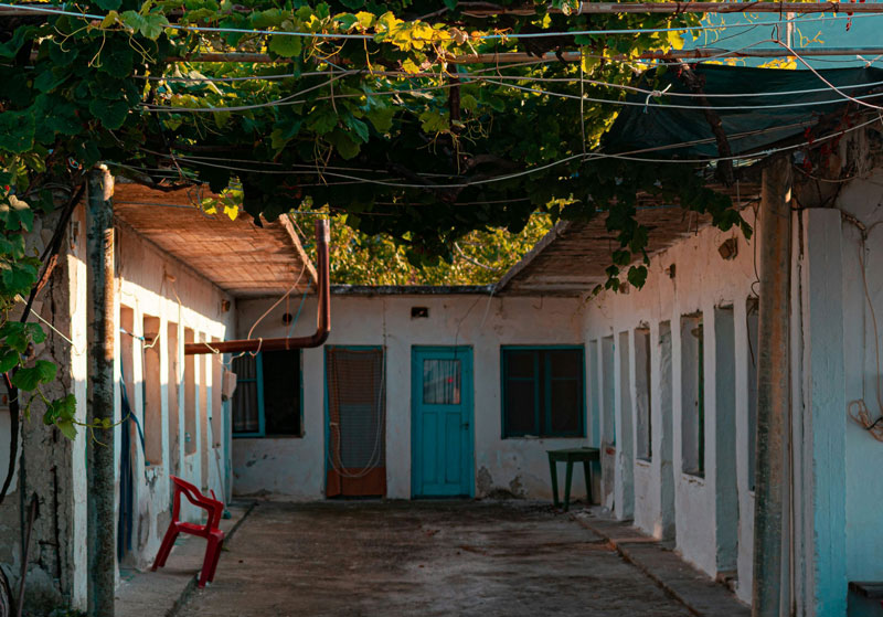 Αγριογούρουνο μπήκε σε σπίτι στην Αγία Παρασκευή Βόλου