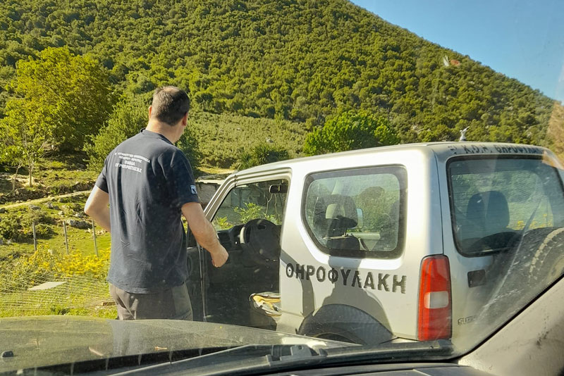 Διάσωση ζαρκαδιού από τον Κ.Σ. Καναλλακίου και την Ε' ΚΟΗ...VIDEO