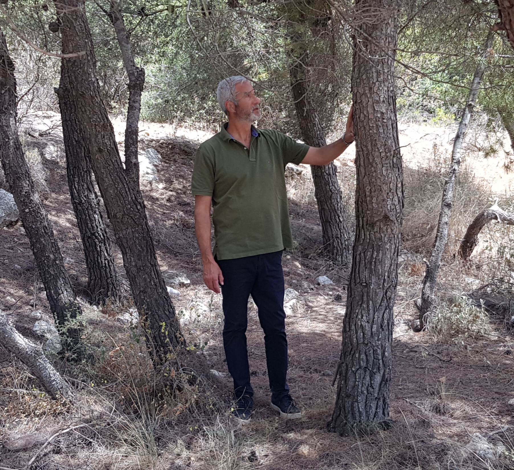 Και όμως, η φωτιά θα ξανάρθει…