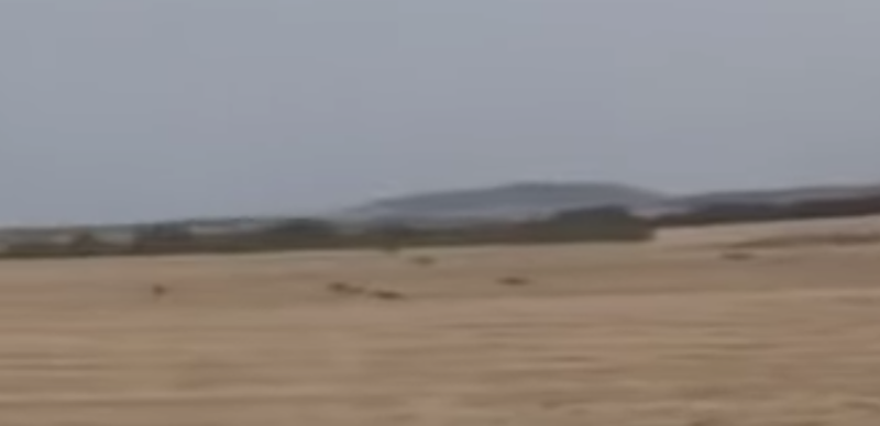 Εντεκάδα λύκων...προπονείται στον Θεσσαλικό κάμπο...VIDEO