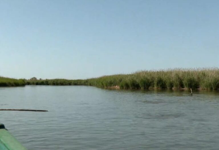 Εθελοντές καθάρισαν το Δέλτα του Έβρου