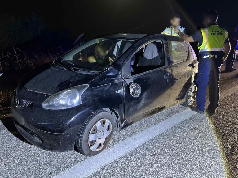 Καστοριά: Αρκούδα συγκρούστηκε με αυτοκίνητο στην αερογέφυρα του Άργους Ορεστικού