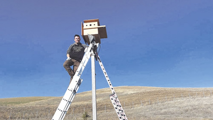 Τοποθετούν 190 φωλιές για κουκουβάγιες στον θεσσαλικό κάμπο