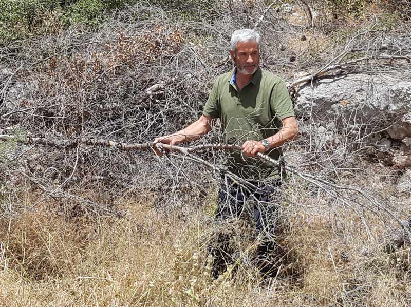 Και όμως, η φωτιά θα ξανάρθει…