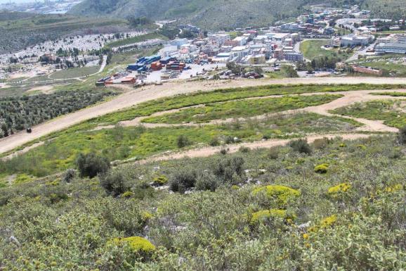 Βρέθηκε νεκρός σκύλος στο εκπαιδευτήριο του Σχιστού