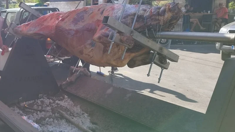 Χανιά: Αντιδράσεις Φιλοζωικού Συλλόγου για το σούβλισμα ταύρου στο χωριό της Κισσάμου για την εορτή του Αγίου Πνεύματος