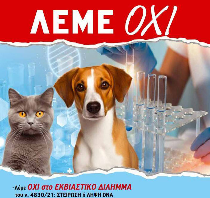 Κτηνιατρικός σύλλογος : Συνεχίζεται η απεργία - αποχή από τη λήψη και αποστολή DNA