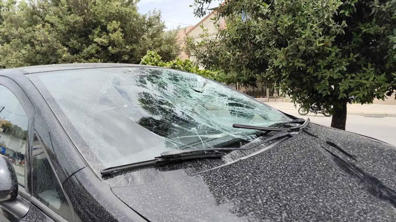 16χρονος πήγε να αποφύγει επίθεση σκύλου και έπεσε πάνω σε διερχόμενο όχημα