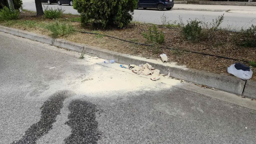16χρονος πήγε να αποφύγει επίθεση σκύλου και έπεσε πάνω σε διερχόμενο όχημα