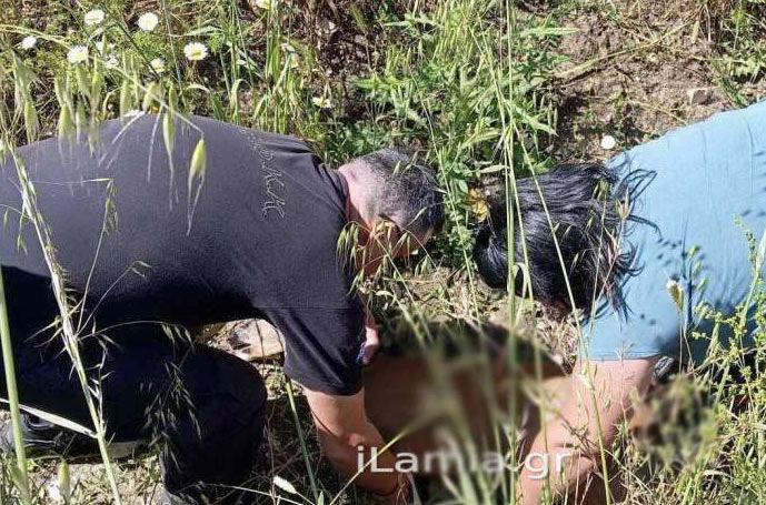 Τροχαίο με θύμα ζαρκάδι στο Δομοκό