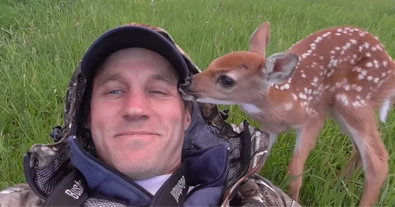 Μια απίστευτη ιστορία μεταξύ ενός κυνηγού και ενός μικρού ελαφιού