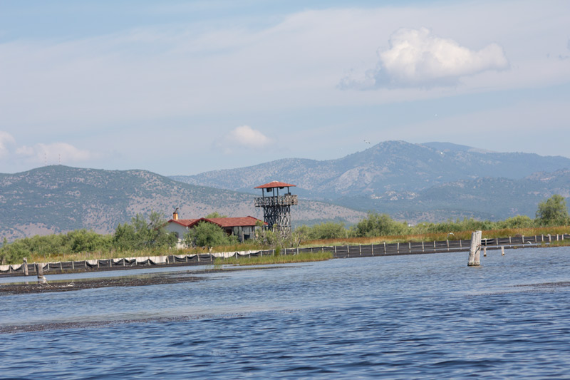 Στο επίκεντρο η θήρα στον Αμβρακικό...VIDEO