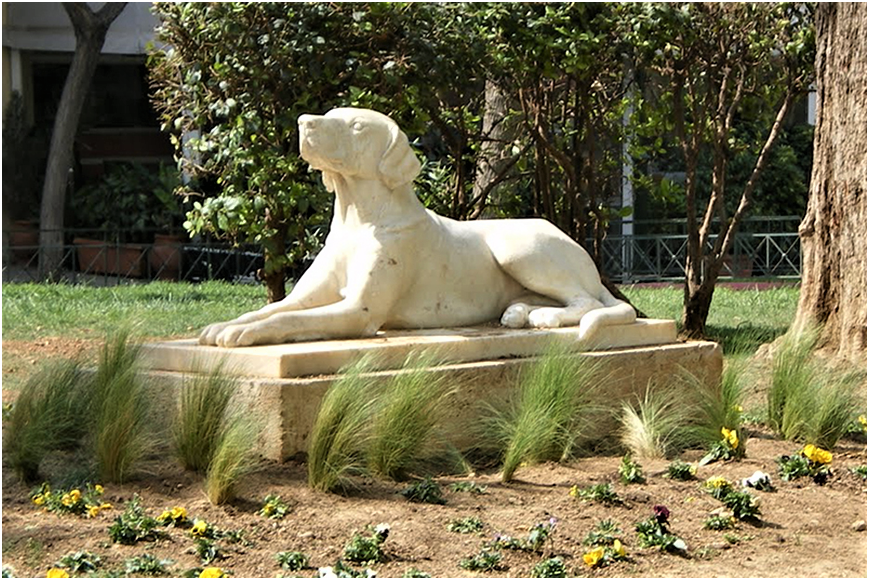 Ο Σκύλος της Φωκίωνος Νέγρη