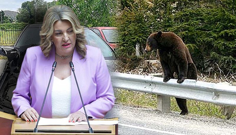 Ερώτηση στη Βουλή για τα προβλήματα και τους κινδύνους που προκαλούν οι αρκούδες στην Καστοριά