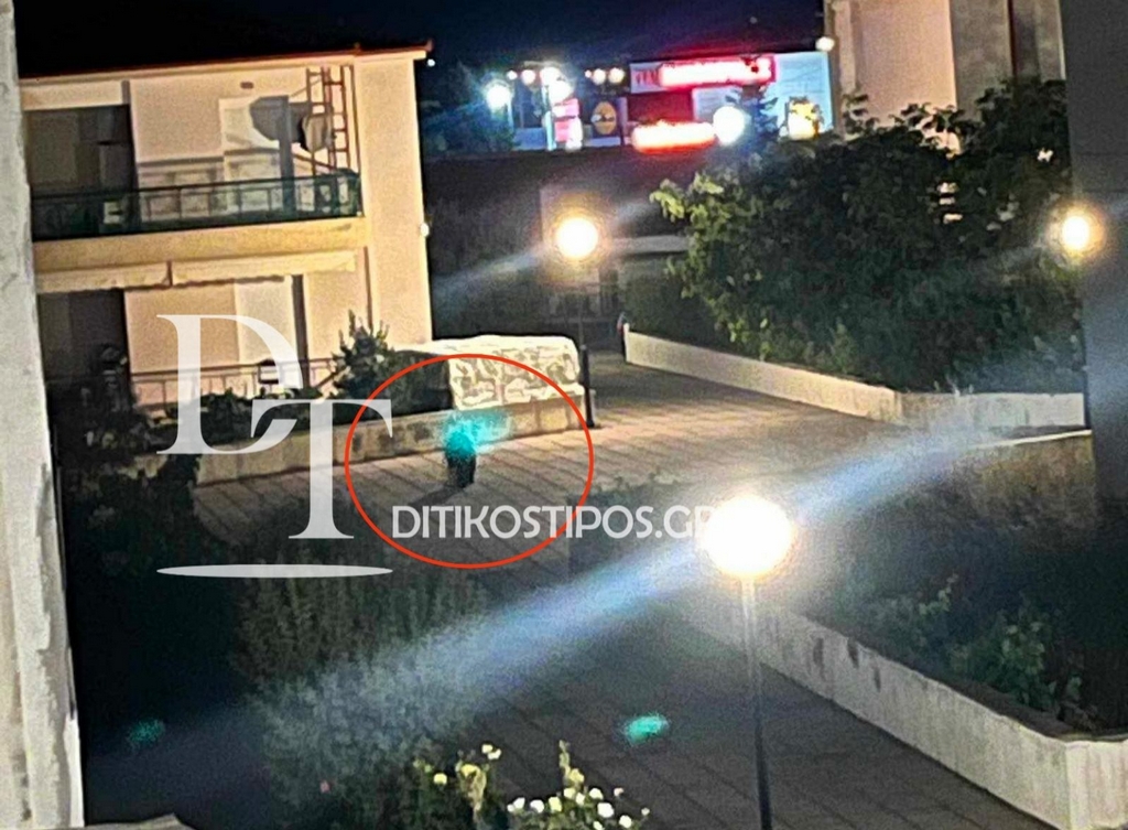 Άργος Ορεστικό : Αρκούδα εμφανίστηκε στις εργατικές κατοικίες της πόλης Άργος Ορεστικό : Αρκούδα εμφανίστηκε στις εργατικές κατοικίες της πόλης