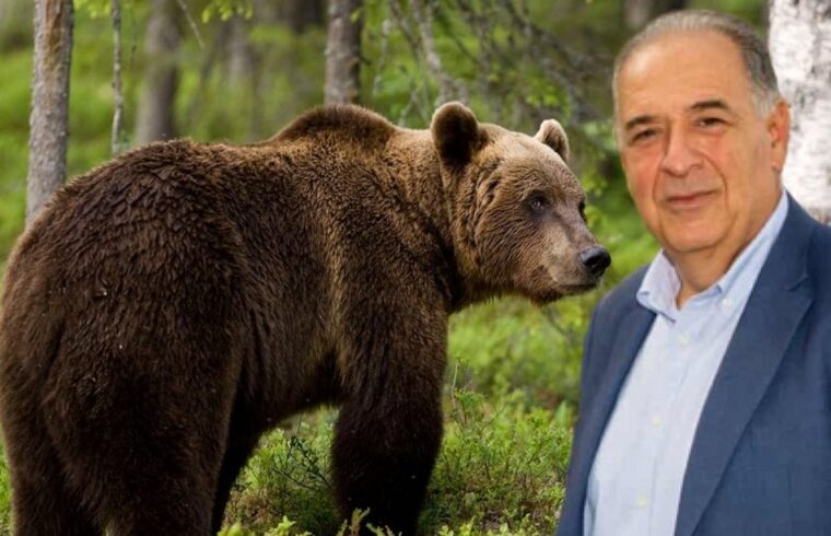 Π. Κεπαπτσόγλου : Δεν πάει άλλο η κατάσταση με τις αρκούδες. Θα τα πούμε από εδώ και πέρα....VIDEO