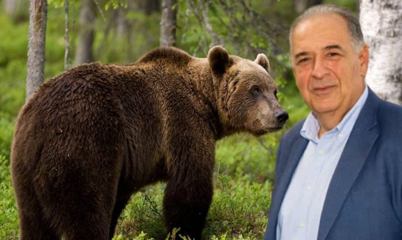 Δήμαρχος Άργους Ορεστικού : Να συσταθεί νέος φορέας για να εξασφαλίσουμε την ασφάλεια πολιτών από τις αρκούδες